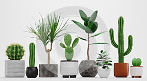3D Render of Home Plants