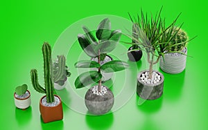 3D Render of Home Plants