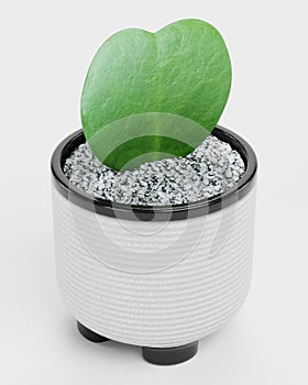 3D Render of Hoya Plant