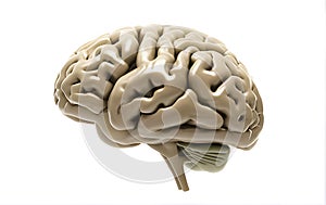 3d render of human brain on white background. Ai Generative