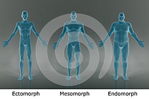 3D Render : illustration of male body type, film negative shader