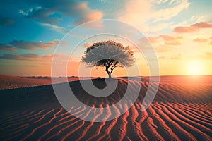 3d render of lonely tree in the desert at sunset time. Loneliness and solitude concepts