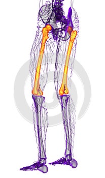 3d render medical illustration of the femur bone