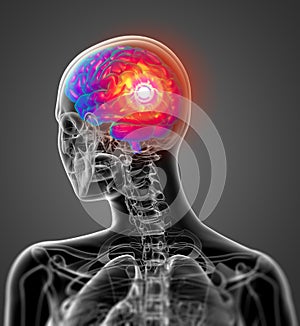 3d render medical illustration of the human brain