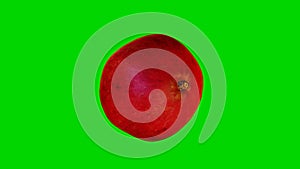 3d render model of a pomegranate fruit rotating on a green screen