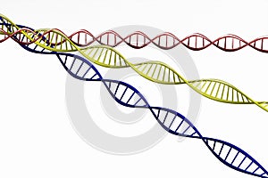3d render ,Model of twisted DNA chain isolated.