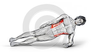 3d render of muscular character working out Obliques Side Plank Down on isolated white background