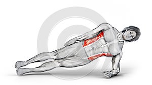 3d render of muscular character working out Obliques Side Plank Up Down on isolated white background