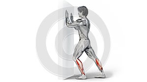 3d render of muscular man figure character training Calves Stretch workout against a wall