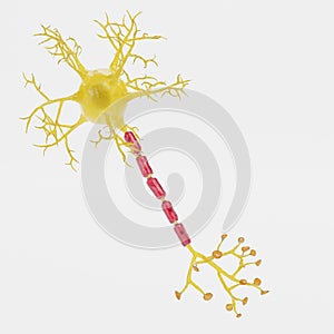 3D Render of Neuron