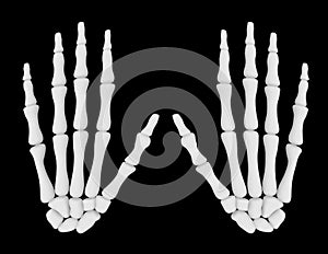 3d Render of a Pair of Skeleton Hands