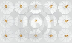 3d render. Pattern of white pumpkins on a white background. Creative autumn composition. 3d illustration