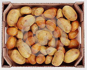 3D Render of Potatoes in Box