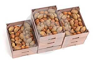 3D Render of Potatoes in Boxes