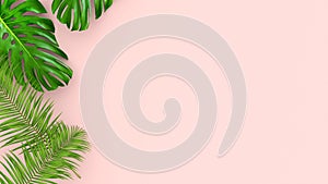 3D render of realistic palm leaves on pink background for cosmetic ad or fashion illustration. Tropical frame exotic