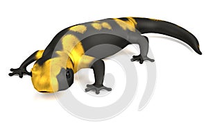 3d render of salamander