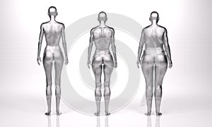 3D Render : standing female silver body type ie. skinny type,muscular type,heavy weight