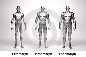 3D Render : standing male body type : ectomorph , mesomorph , endomorph with silver texture