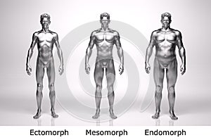 3D Render : standing male body type : ectomorph , mesomorph , endomorph with silver texture