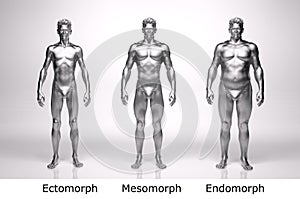 3D Render : standing male body type : ectomorph , mesomorph , endomorph with silver texture