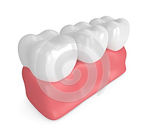 3d render of teeth in gums