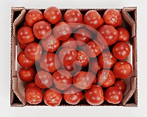 3d Render of Tomatoes in Box