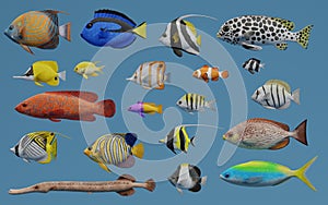 3D Render of Tropical Fish Collection