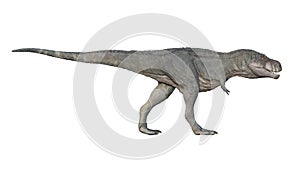 3d render of Tyrannosaurus rex on a white background