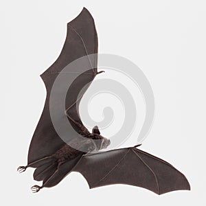 3D Render of Vampire Bat