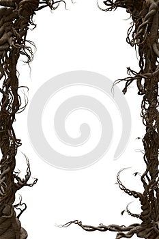 3D rendered fantasy frame made of entangled roots isolated on a white background