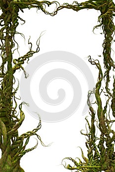 3D rendered fantasy frame made of entangled roots isolated on a white background