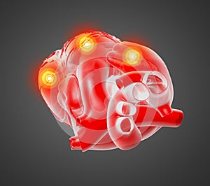 3d rendered of the human heart