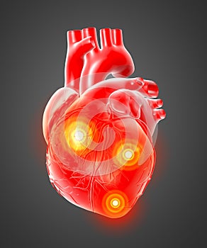 3d rendered of the human heart