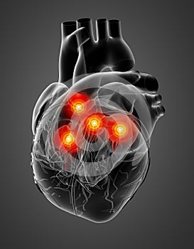 3d rendered of the human heart