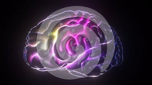 3d Rendered Illustration of Brain Model with Neural Network Impulses