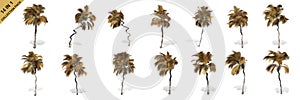 3D rendering - 14 in 1 collection of tall coconut trees isolated over a white background