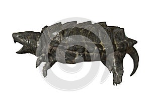 3D Rendering Alligator Snapping Turtle on White