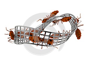 3d rendering of ants walking on a infinity figure isolated in white background