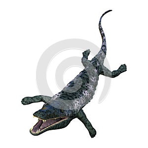 3D Rendering Archegosaurus on White