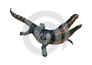 3D Rendering Archegosaurus on White