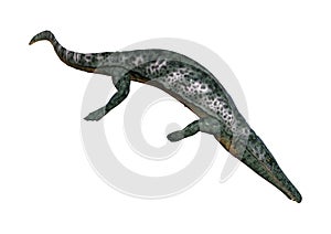 3D Rendering Archegosaurus on White