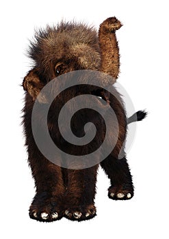 3D Rendering Baby Woolly Mammoth on White