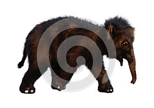 3D Rendering Baby Woolly Mammoth on White