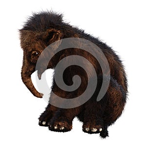 3D Rendering Baby Woolly Mammoth on White