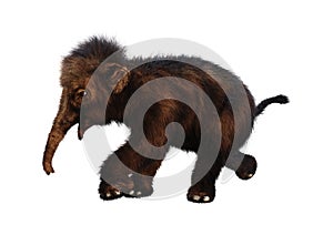 3D Rendering Baby Woolly Mammoth on White