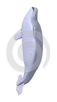 3D Rendering Beluga White Whale on White