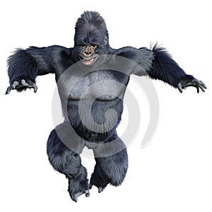 3D Rendering Black Gorilla Ape on White