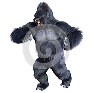 3D Rendering Black Gorilla Ape on White