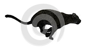 3D Rendering Black Panther on White