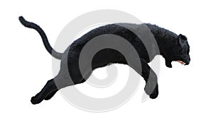 3D Rendering Black Panther on White